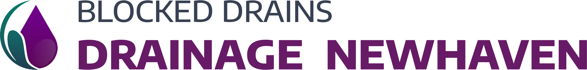 website logo